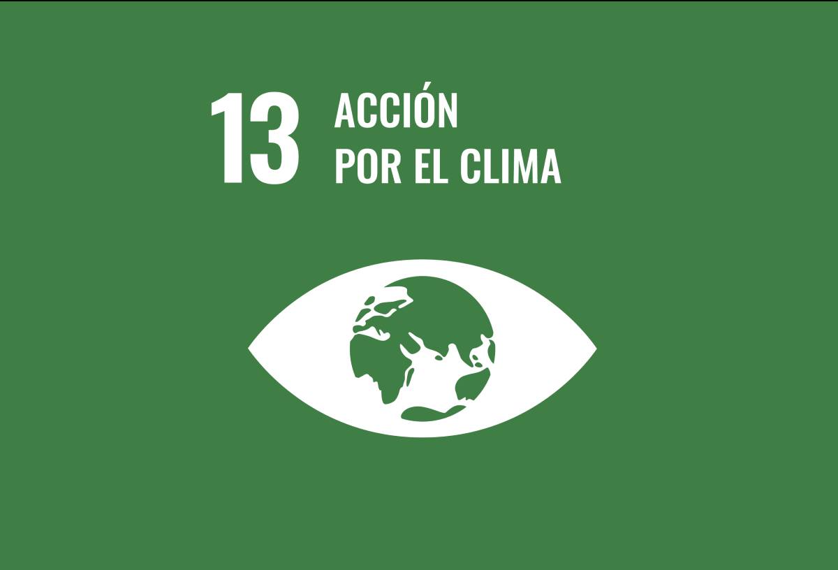 Icono de la Agenda 2030, Objetivo 13: Acción por el clima, símbolo del planeta tierra en forma de ojo en fondo verde