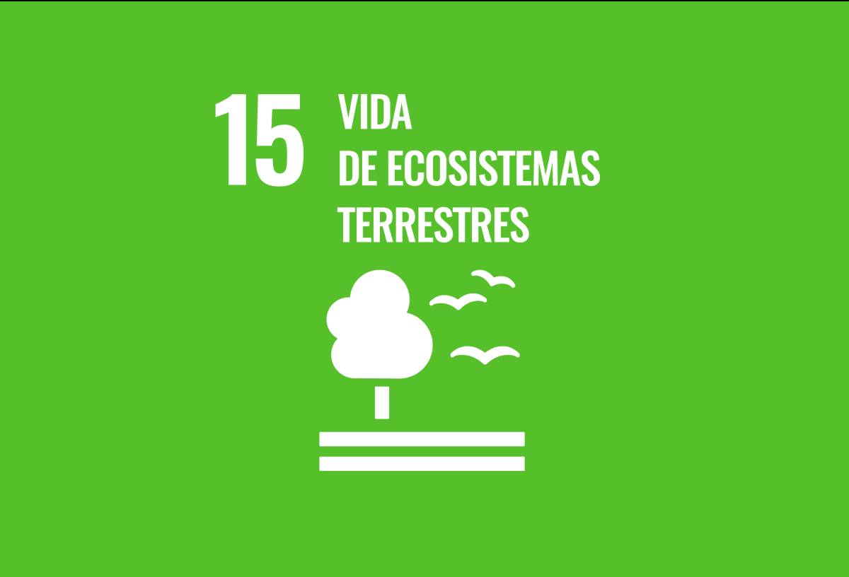 Metaeducación sobre los Objetivos de Desarrollo Sostenible: Vida de ecosistemas terrestres.
