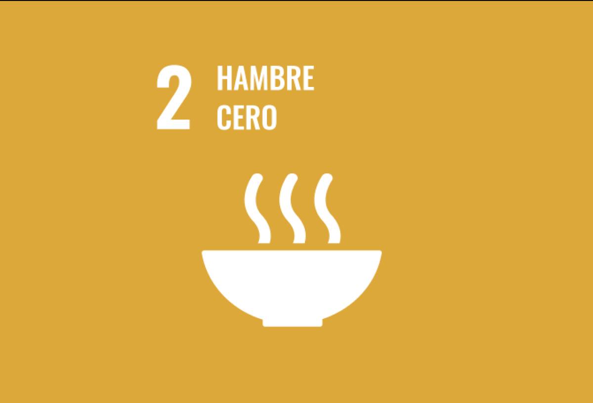 Icono de comida con el texto "2 hambre cero" para campaña de alimentación saludable en Universidad Pontificia de Comillas.