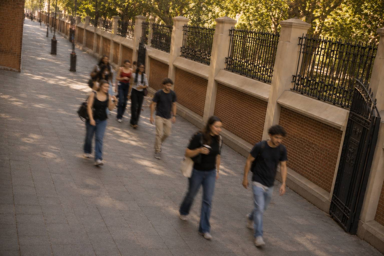 Un grupo de personas camina por un paseo arbolado en un día soleado.