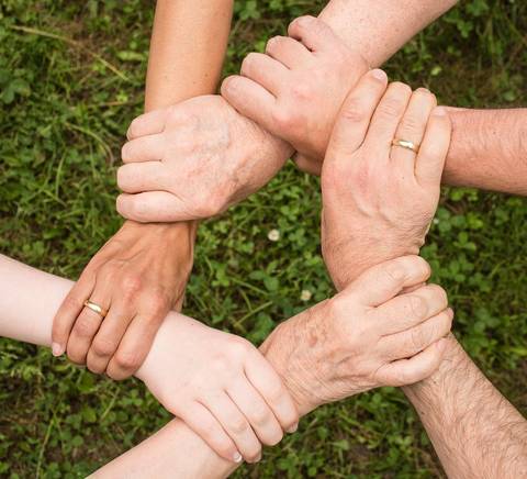 Un grupo de manos unidas en un círculo sobre el césped, simbolizando unidad y colaboración.