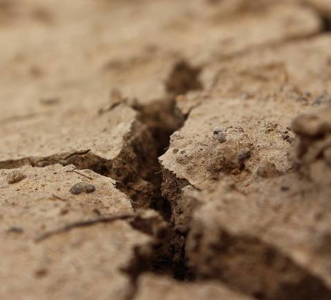 La imagen muestra un suelo agrietado y seco, típico de condiciones de sequía.