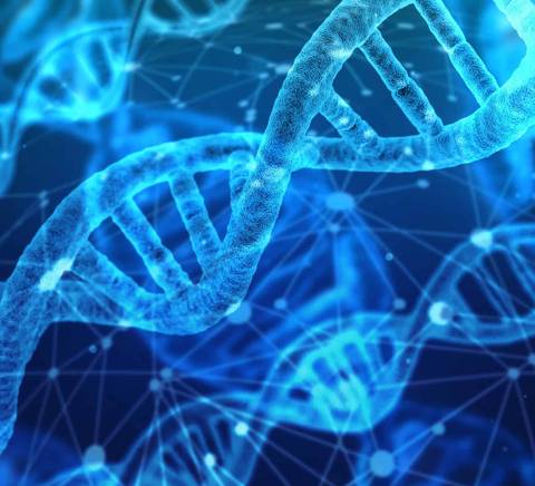 La imagen muestra una representación digital de la doble hélice del ADN en tonos azules.