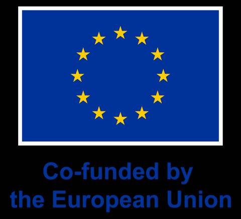 La imagen muestra la bandera de la Unión Europea con la frase 'Co-financiado por la Unión Europea'.