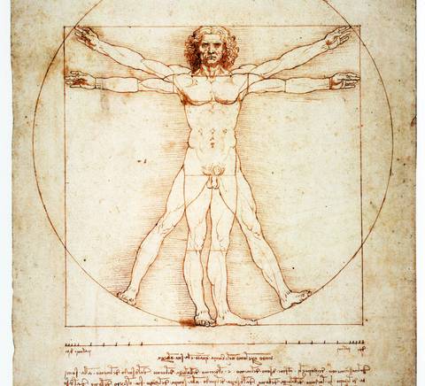 El hombre de Vitruvio es un famoso dibujo de Leonardo da Vinci que representa las proporciones ideales del cuerpo humano.