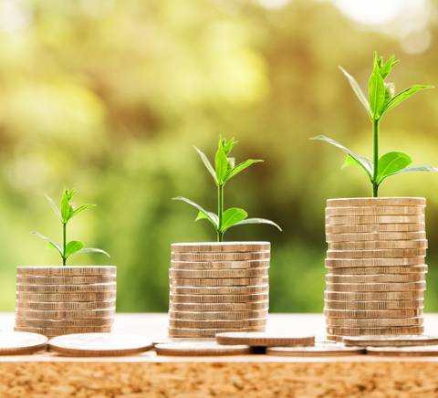 La imagen muestra monedas apiladas con brotes verdes en crecimiento sobre ellas, simbolizando el crecimiento financiero y la sostenibilidad.