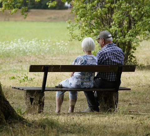 Una pareja de ancianos sentados en un banco en un parque, disfrutando de la naturaleza.