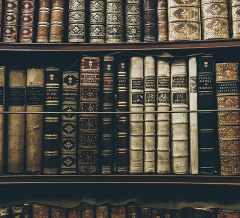 Una estantería llena de libros antiguos de diversas cubiertas y colores.