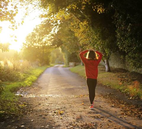 Una persona camina por un camino entre árboles mientras el sol se pone.