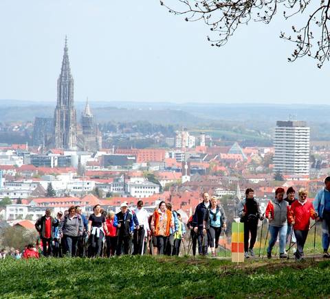 Un grupo de personas camina por un sendero con una ciudad de fondo y un paisaje urbano.