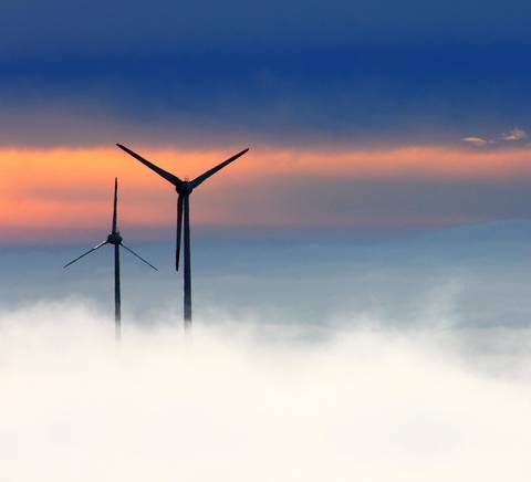 Tres aerogeneradores emergen entre la niebla al amanecer.