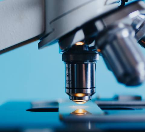 La imagen muestra un microscopio enfocado sobre una muestra.