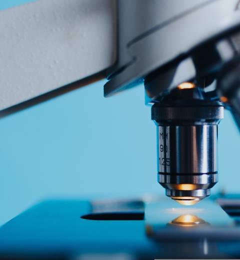 La imagen muestra un microscopio con un fondo azul claro.