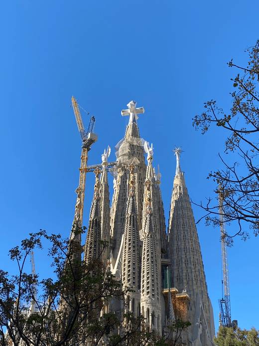 La imagen muestra la fachada de una catedral con torres y grúas de construcción en un día soleado.