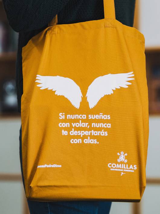 becas dimo