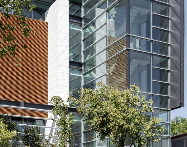 Una moderna edificación de vidrio y hormigón con elementos de madera y vegetación alrededor.