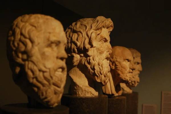 Cabezas clásicas de esculturas de mármol en exhibición en un museo de arte.