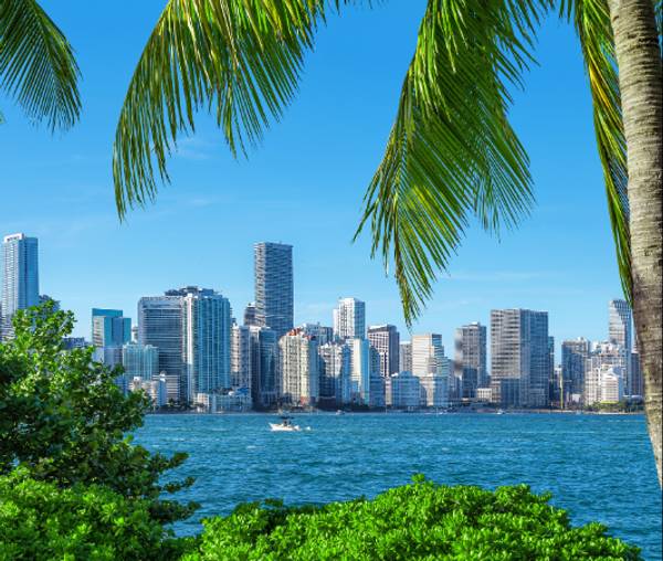 Vista de una ciudad moderna al otro lado del agua con edificios altos y un primer plano de vegetación tropical.