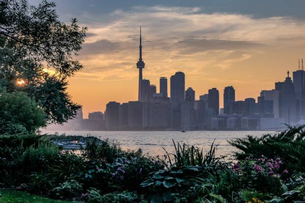 Una vista del horizonte de Toronto al atardecer, con el CN Tower sobresaliendo entre los edificios y vegetación en primer plano.