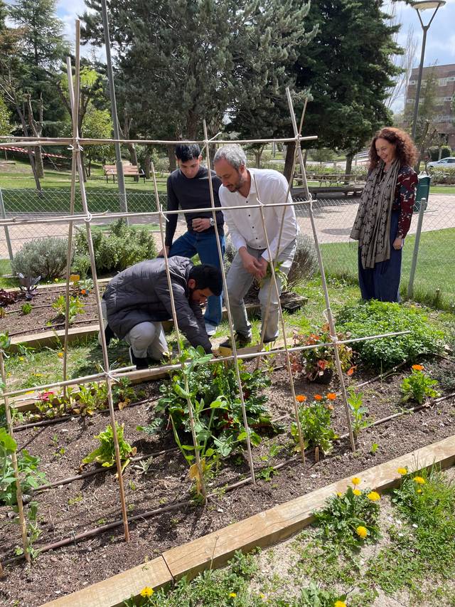 Un grupo de personas trabaja en un huerto urbano plantando flores y plantas.