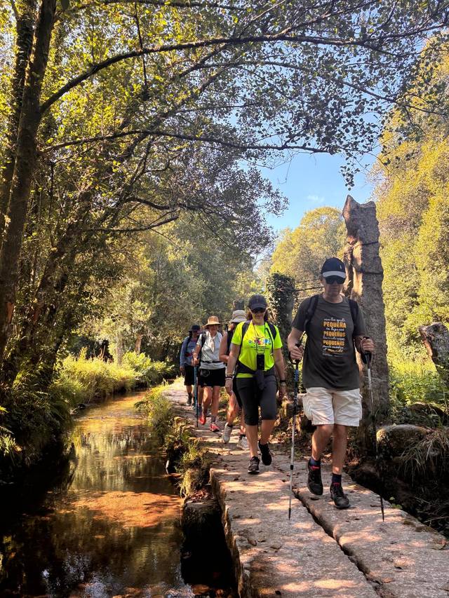 Un grupo de personas camina por un sendero de piedra junto a un arroyo en un entorno natural.