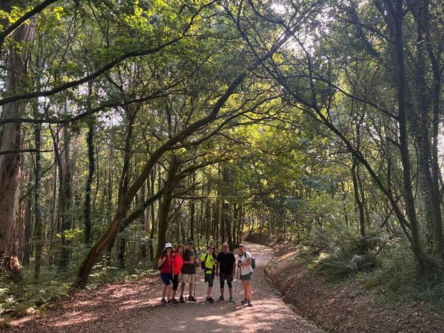 Un grupo de personas camina por un sendero rodeado de árboles en un bosque.