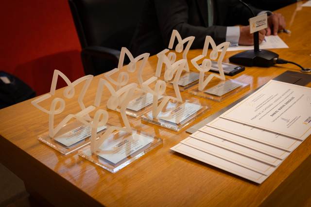 La imagen muestra varios trofeos en forma de estrella sobre una mesa de madera.