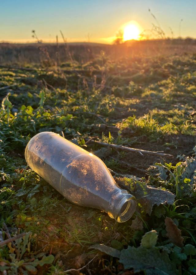 Cuida la naturaleza.jpeg