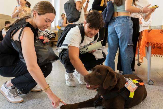 Un grupo de personas interactúa con un perro en un ambiente social.