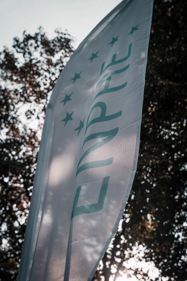 A flag with the word 'EUROPE' and a row of stars, set against a backdrop of trees and sky.