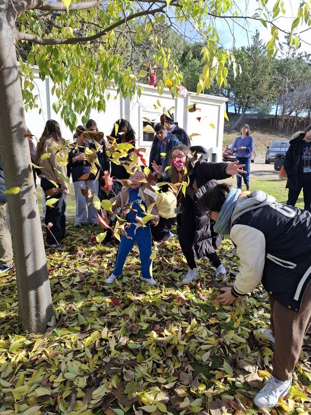 Un grupo de personas juega con hojas caídas de un árbol en un día soleado.