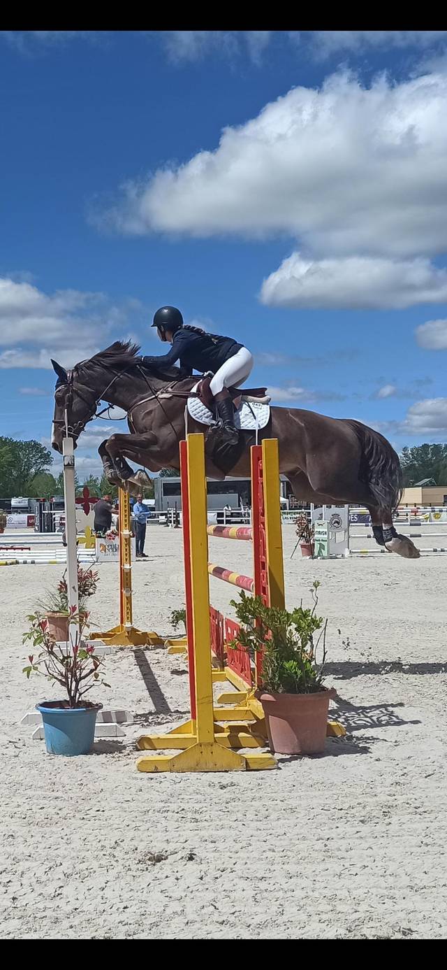 A rider on a horse jumping over a yellow and orange obstacle in a sandy arena with a clear blue sky.