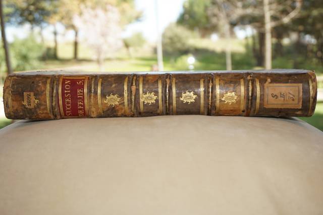 Un libro antiguo con encuadernación de cuero y dorados en el lomo.