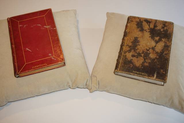 Dos libros antiguos descansan sobre cojines suaves.