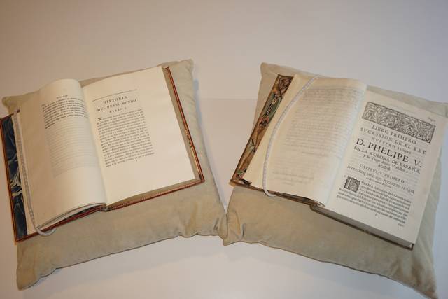 Dos libros antiguos abiertos sobre cojines suaves.