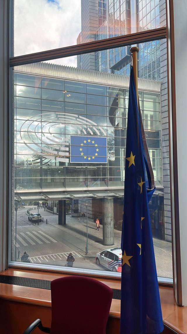 Vista desde una ventana que muestra una bandera de la Unión Europea con un edificio moderno y una calle con autos en el fondo.