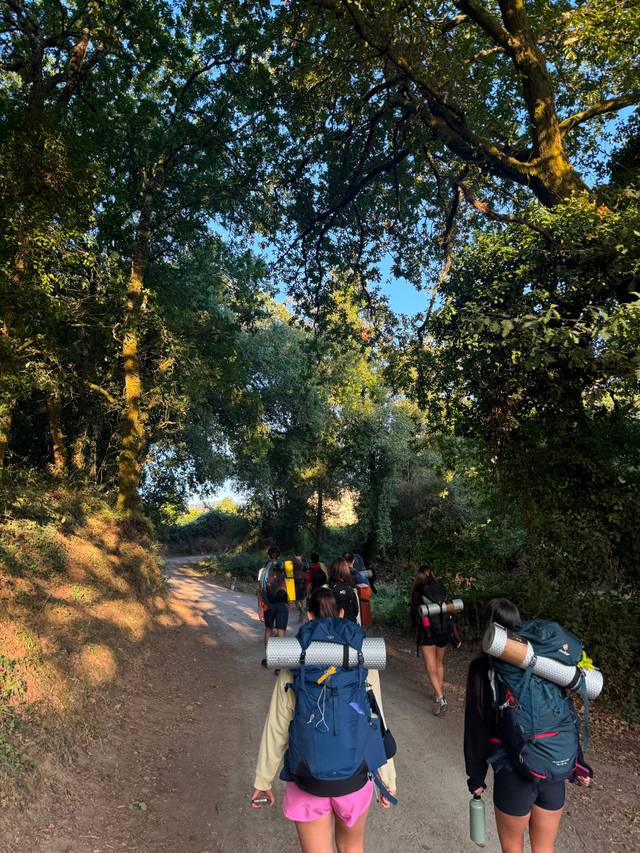 Un grupo de personas caminando por un sendero en un bosque con mochilas grandes.