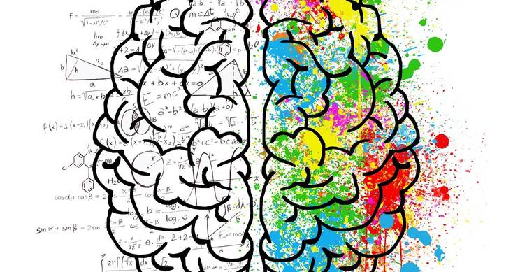 La imagen representa un cerebro dividido en dos mitades, una con fórmulas matemáticas y la otra con colores vibrantes y salpicaduras de pintura.