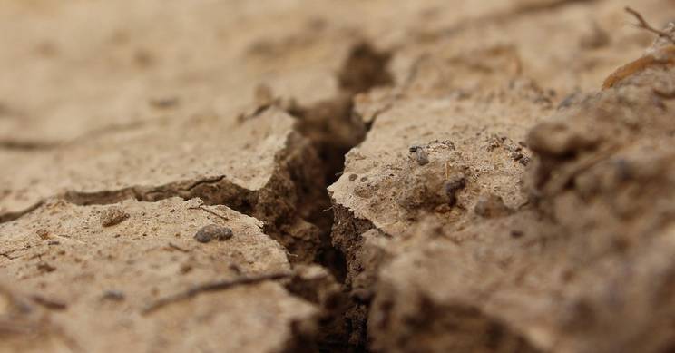 La imagen muestra un suelo agrietado y seco, típico de condiciones de sequía.