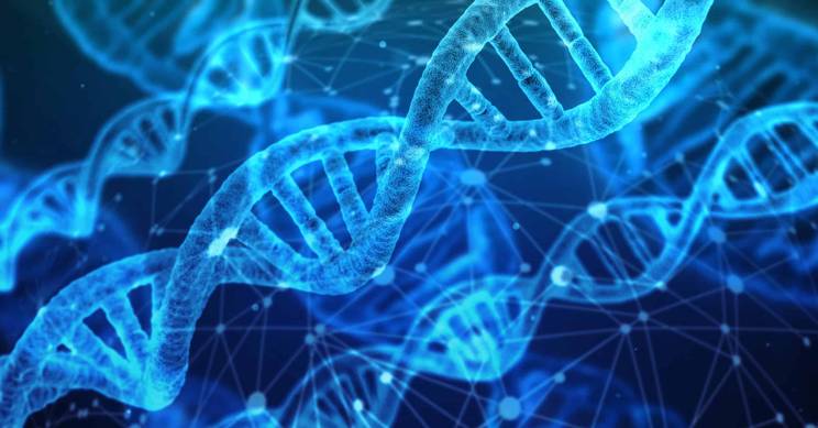 La imagen muestra una representación digital de la doble hélice del ADN en tonos azules.