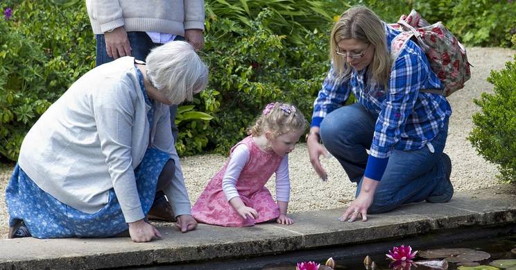 Una familia disfruta de un día en el jardín, observando los lirios en un estanque.