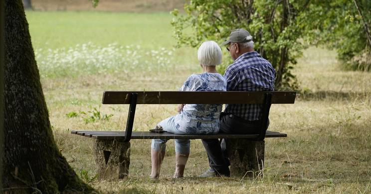 Una pareja de ancianos sentados en un banco en un parque, disfrutando de la naturaleza.