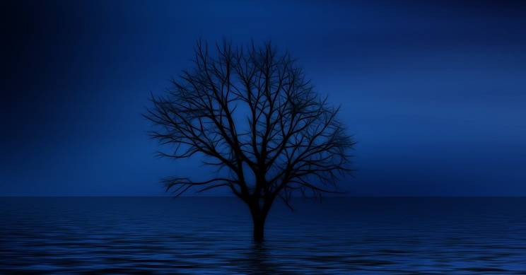 Un árbol solitario se eleva sobre un fondo de agua oscura bajo un cielo azul profundo.