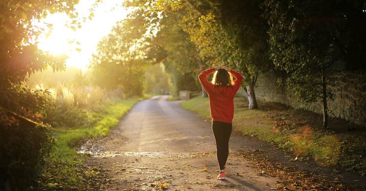 Una persona camina por un camino entre árboles mientras el sol se pone.