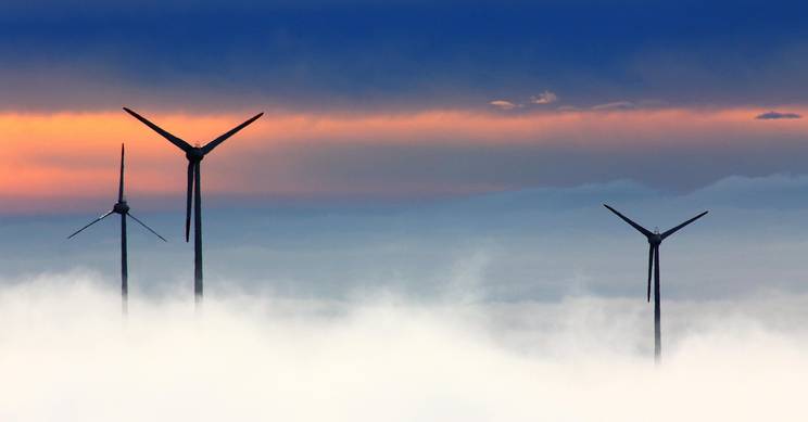 Tres aerogeneradores emergen entre la niebla al amanecer.