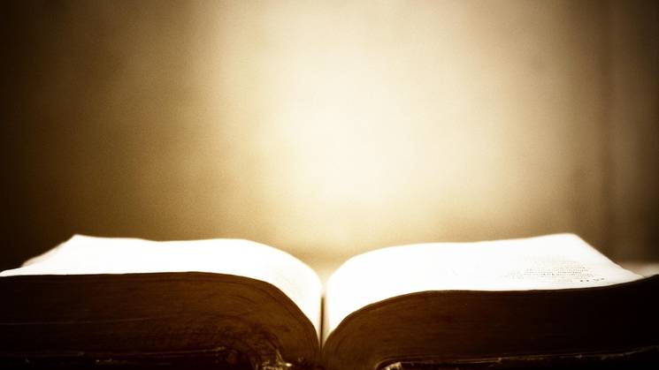 Un libro abierto con páginas iluminadas suavemente por una luz tenue.