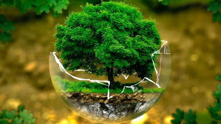 Un árbol verde florece dentro de una esfera de cristal rota que simboliza la fragilidad de la naturaleza.