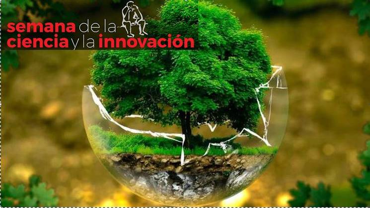 Una representación artística de un árbol dentro de una burbuja de cristal, simbolizando la conexión entre la naturaleza y la innovación.