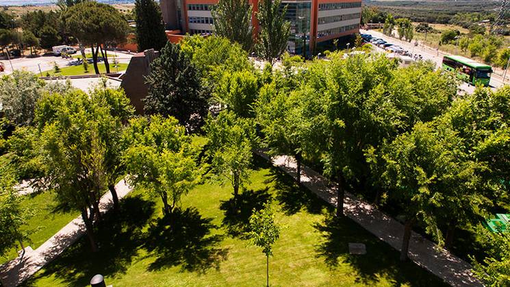 Campus