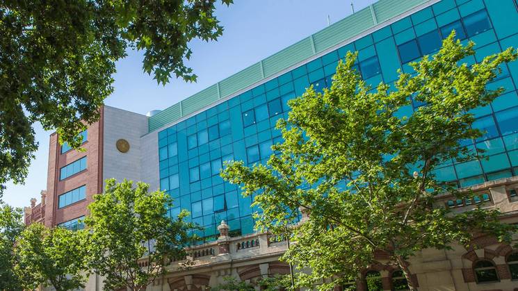 Una edificación moderna con grandes ventanales y árboles en el primer plano.